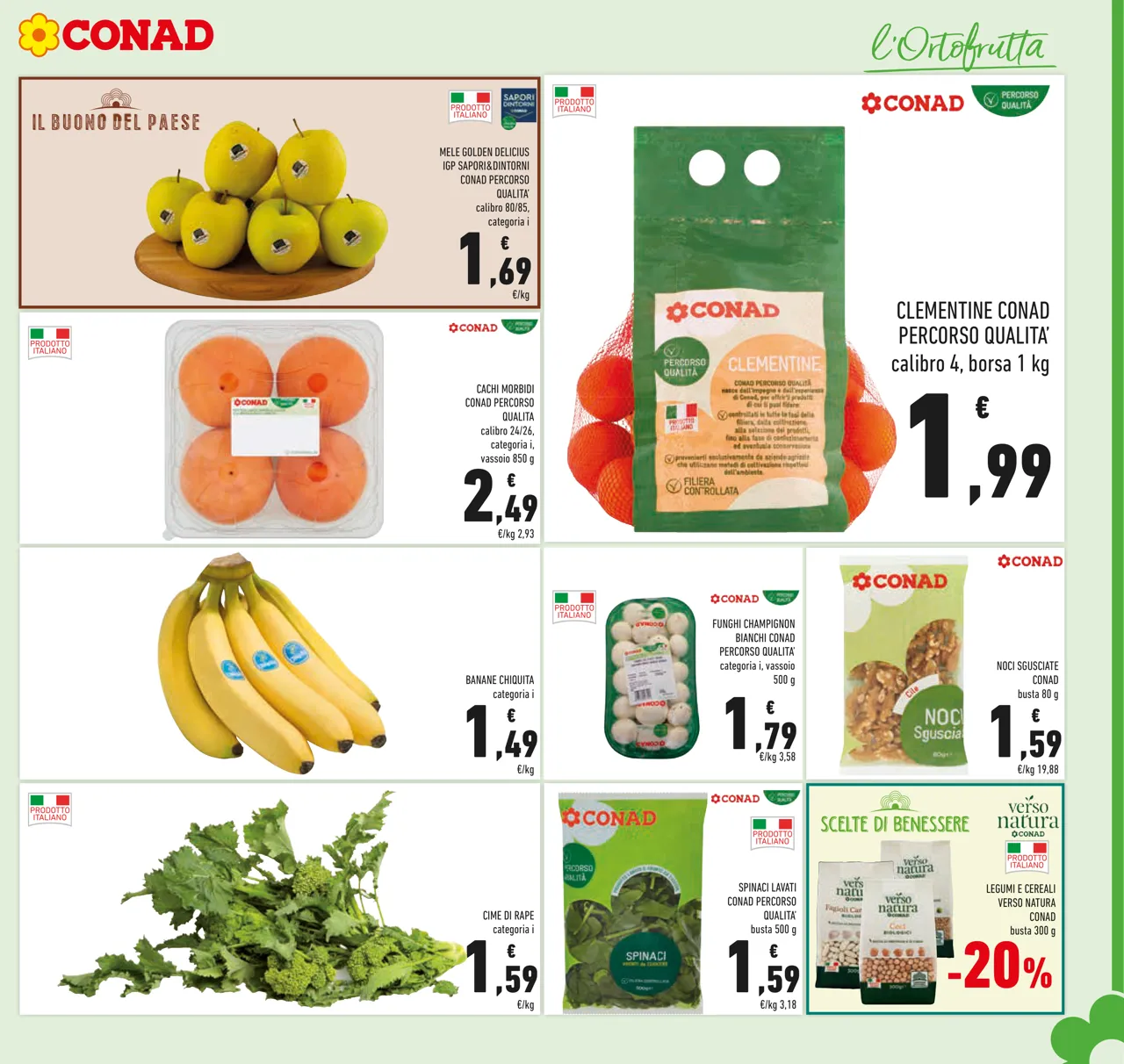 Pagina 5