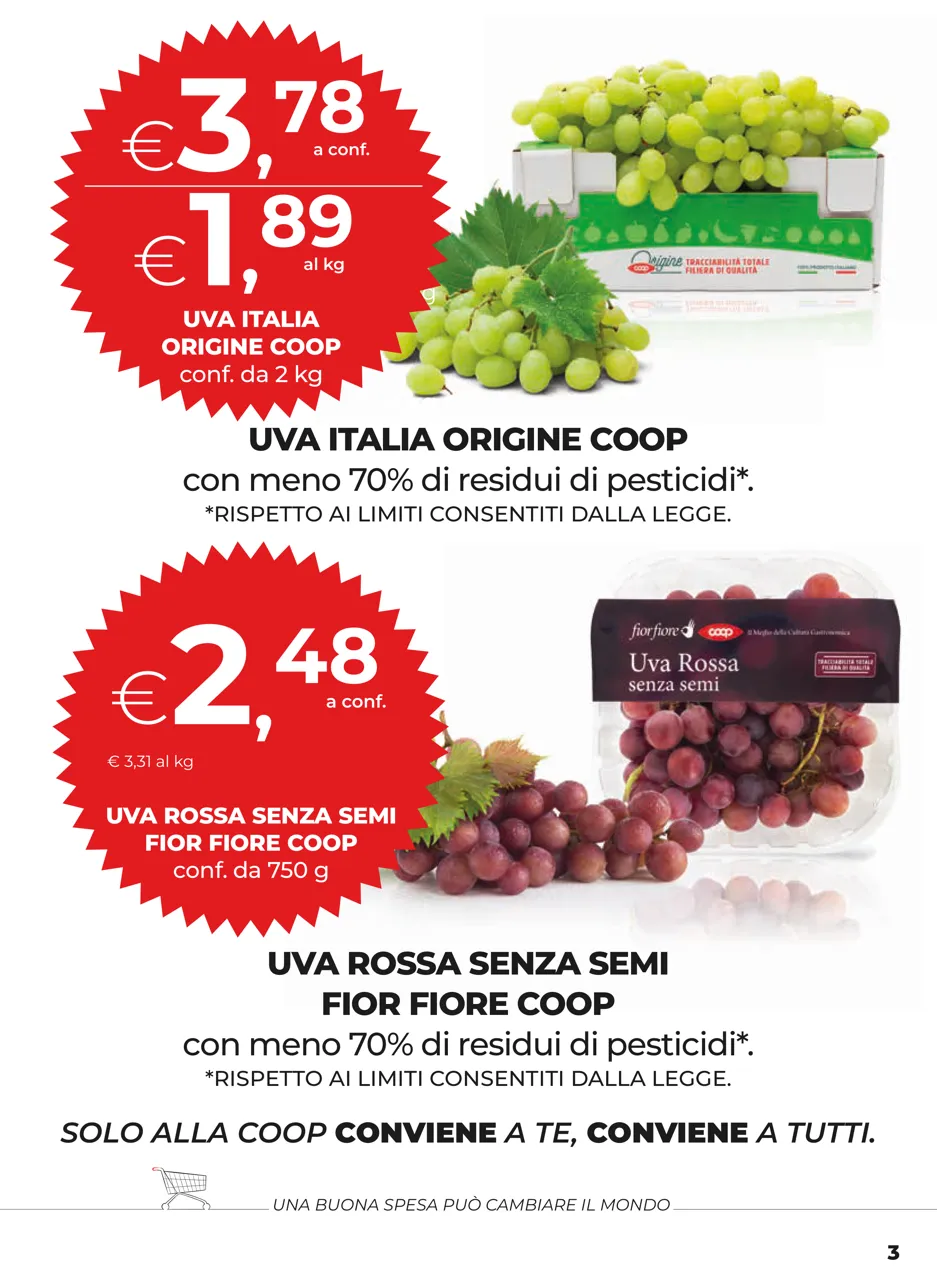 Pagina 3