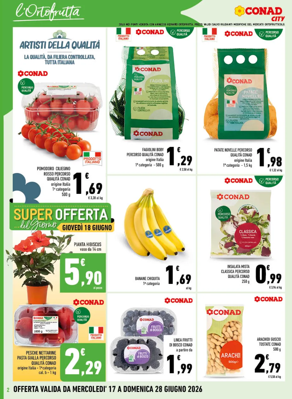Pagina 2