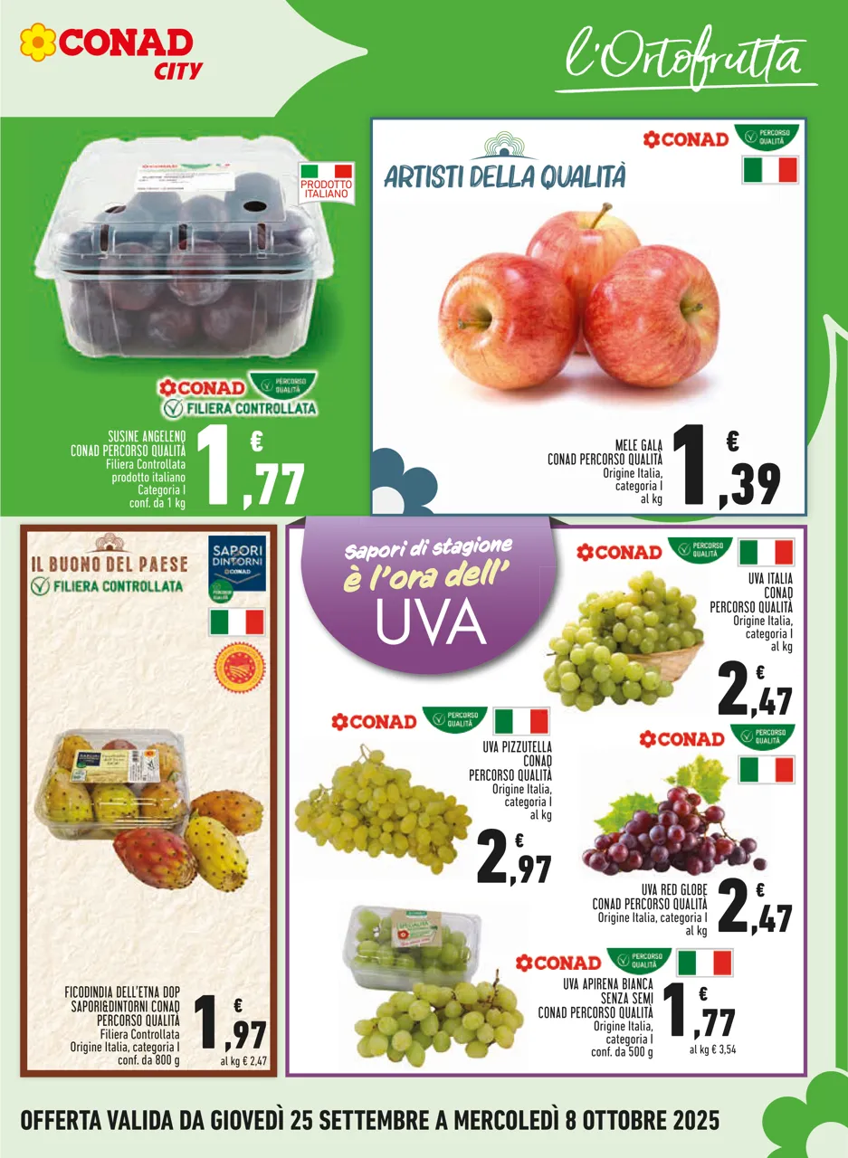 Pagina 5