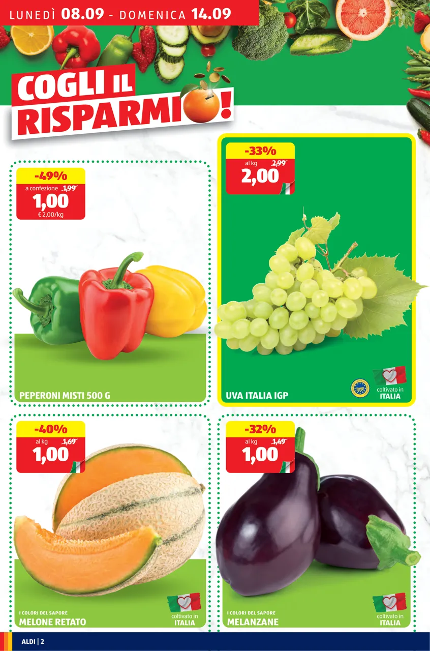 Pagina 2