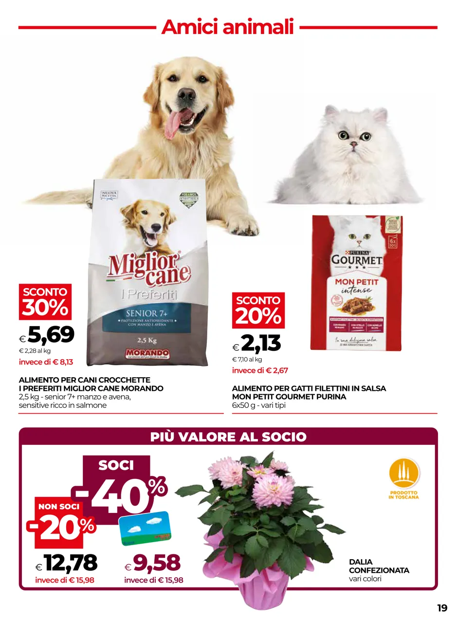 Pagina 19