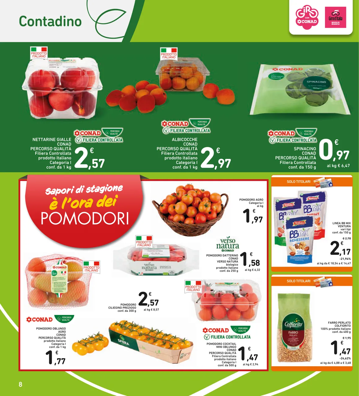 Pagina 8