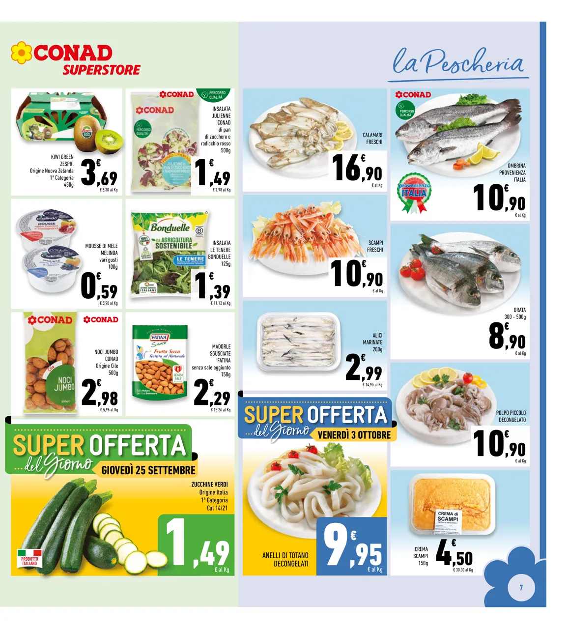 Pagina 7