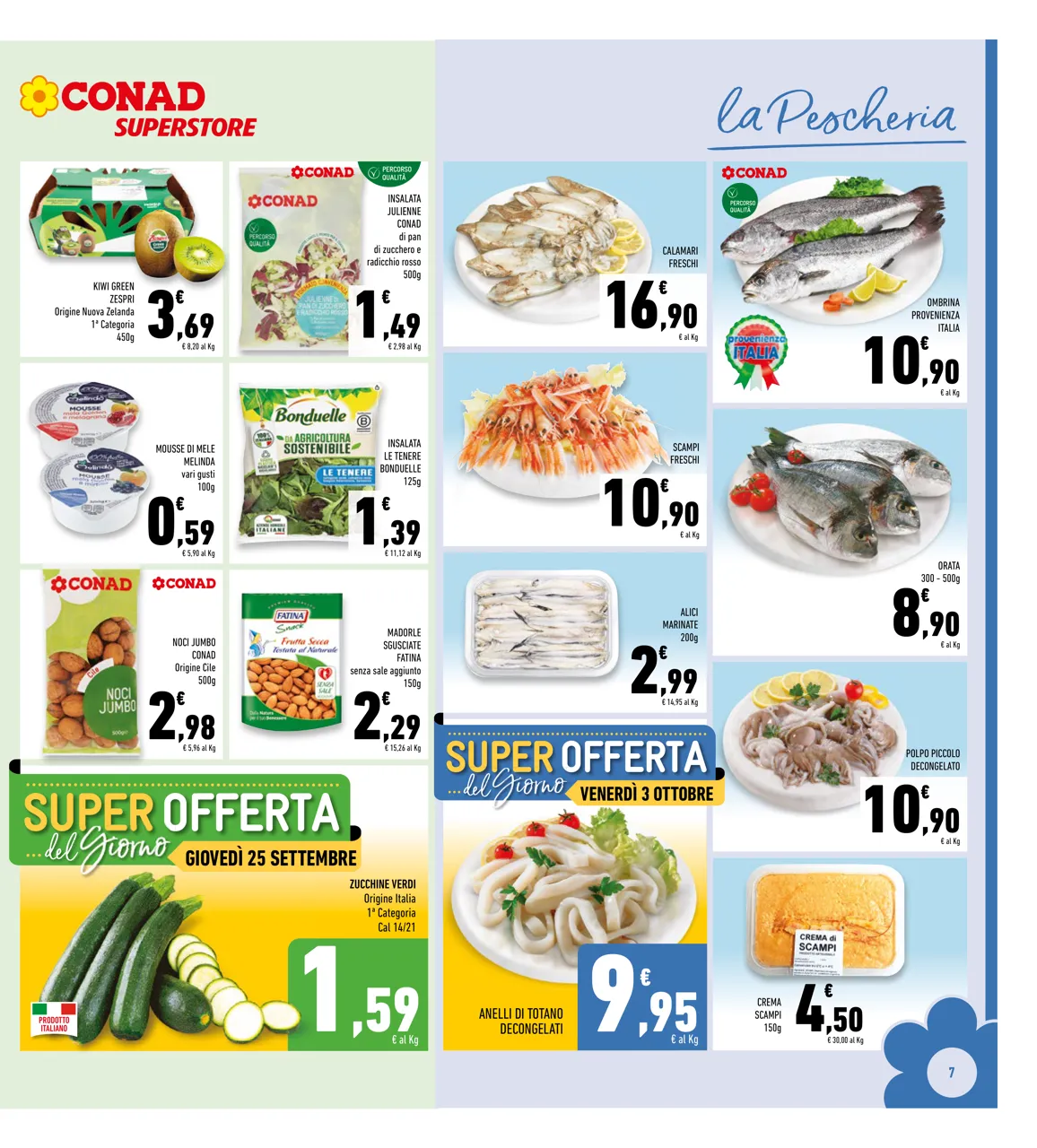 Pagina 7