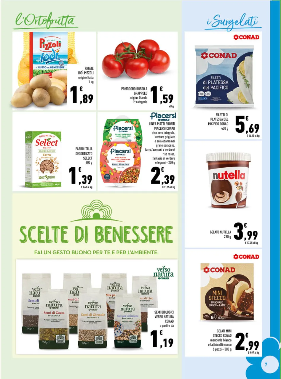 Pagina 7