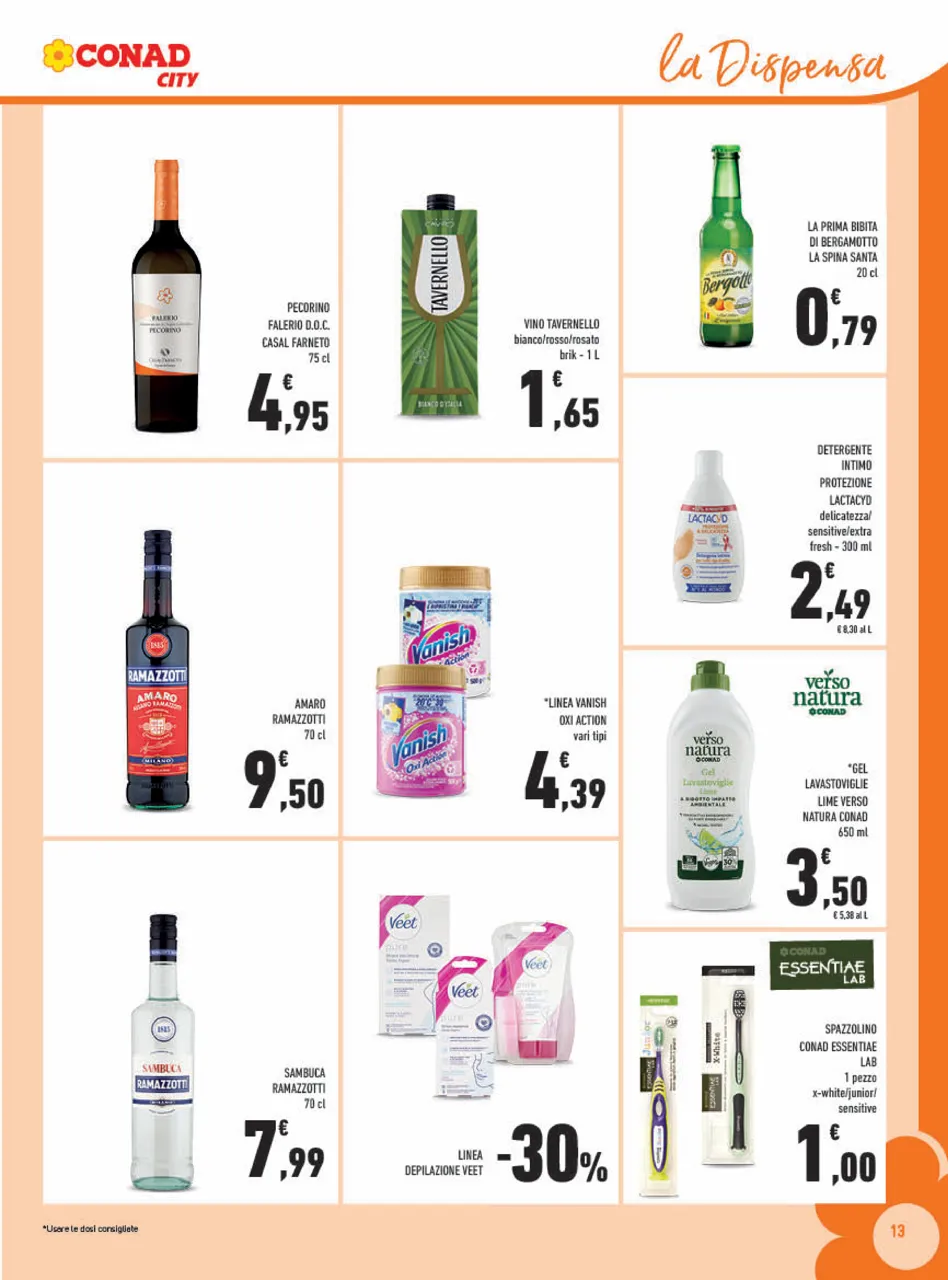 Pagina 13