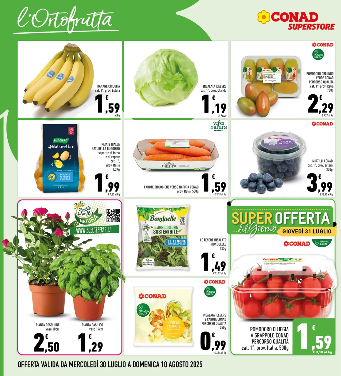 Pagina 8